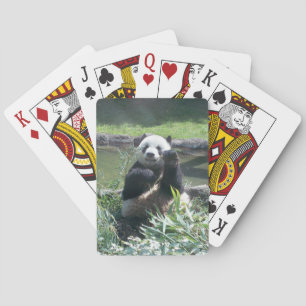 Panda Deck auf Spielkarten