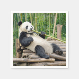 Panda, der an einem Bambusstängel kaut Serviette