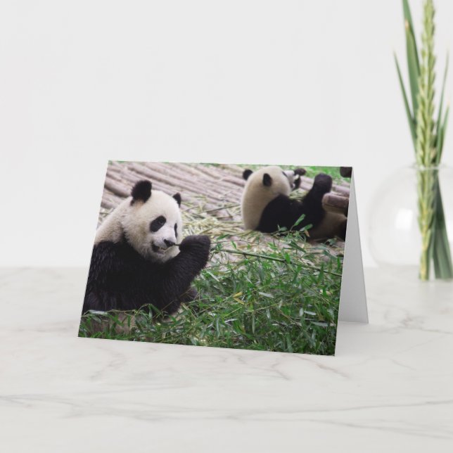 Panda Dream Blank Card Karte (Vorderseite)
