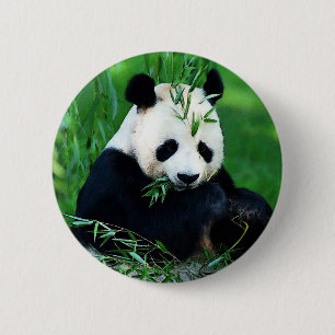 Panda Eating Blätter Button