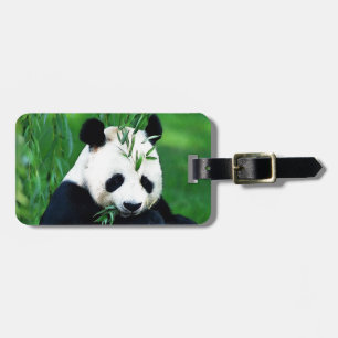 Panda Eating Blätter Gepäckanhänger
