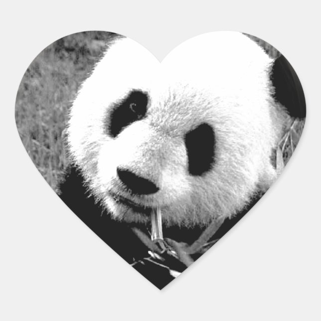 Panda Eyes Herz-Aufkleber (Vorderseite)