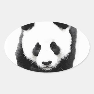 Panda Face Oval Aufkleber