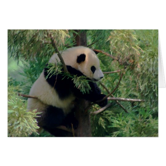 Panda-feste Umarmungen Karte