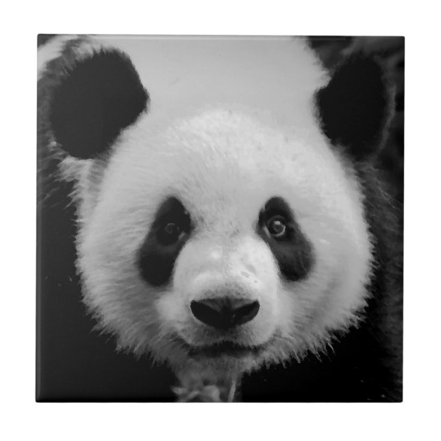 Panda Fliese (Vorderseite)