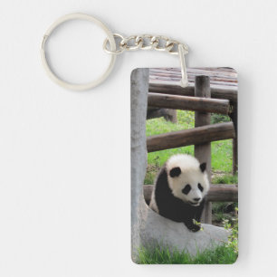 Panda Fotograf Schlüsselanhänger