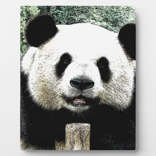 Panda Fotoplatte (Vorderseite)