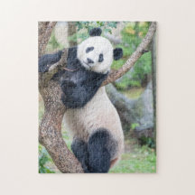 Panda Géant Accroché Dans Un Puzzle D'Arbre