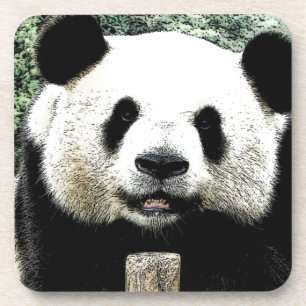 Panda Getränkeuntersetzer