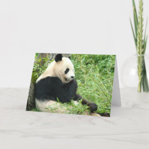Panda Greeting Card Karte