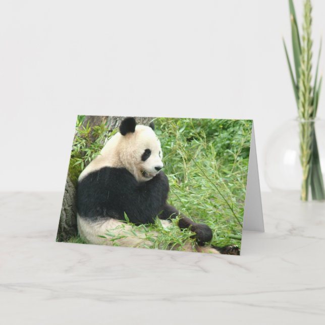 Panda Greeting Card Karte (Vorderseite)