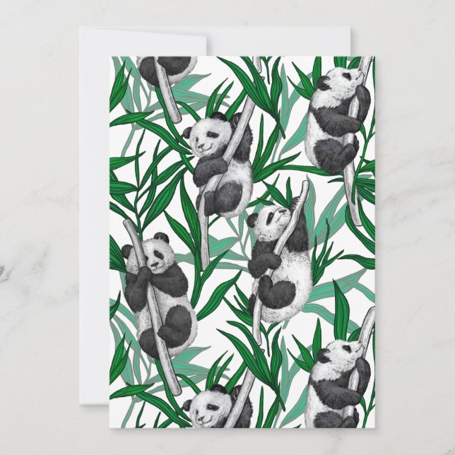 Panda-Hubs (Vorderseite)