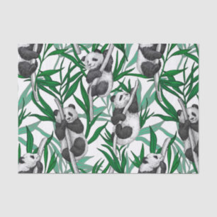 Panda-Hubs Seidenpapier