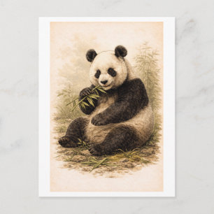Panda-Illustration im Vintage-Stil Postkarte
