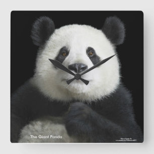 Panda image for Square-Wall-Clock Quadratische Wanduhr