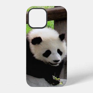Panda iPhone Hülle
