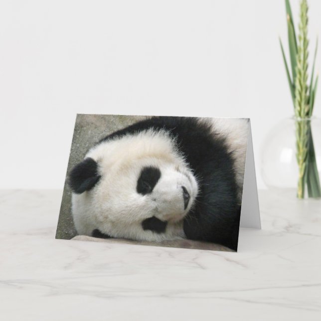 Panda Karte (Vorderseite)