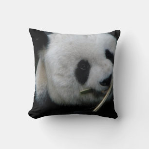 Panda Kissen