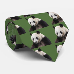 Panda Krawatte