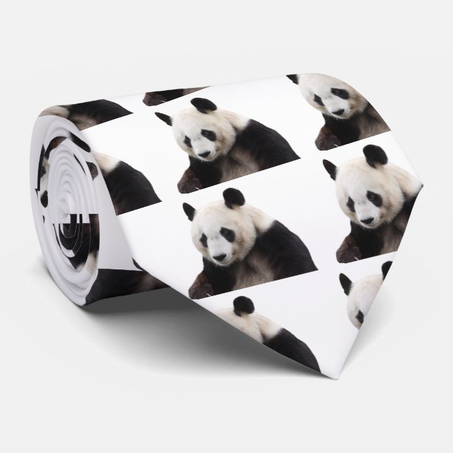 Panda Krawatte (Gerollt)
