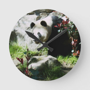 Panda-Lächeln-Wanduhr Runde Wanduhr