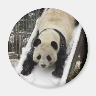 Panda-Magnet Magnet