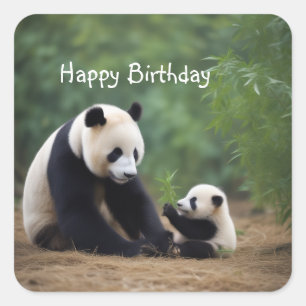 Panda Mama und Baby Quadratischer Aufkleber