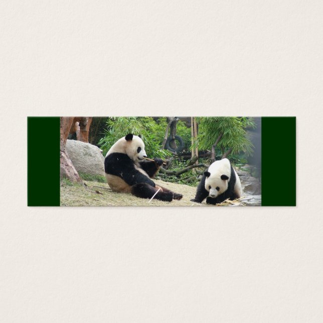 Panda mini signet géant (Devant)