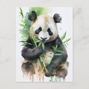 Panda mit schwarz-weißem Fell. Postkarte