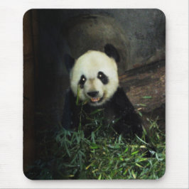 Panda Mousepad