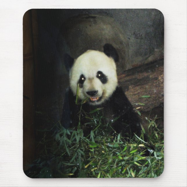 Panda Mousepad (Vorne)