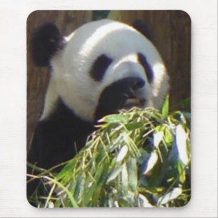 Panda Mousepad