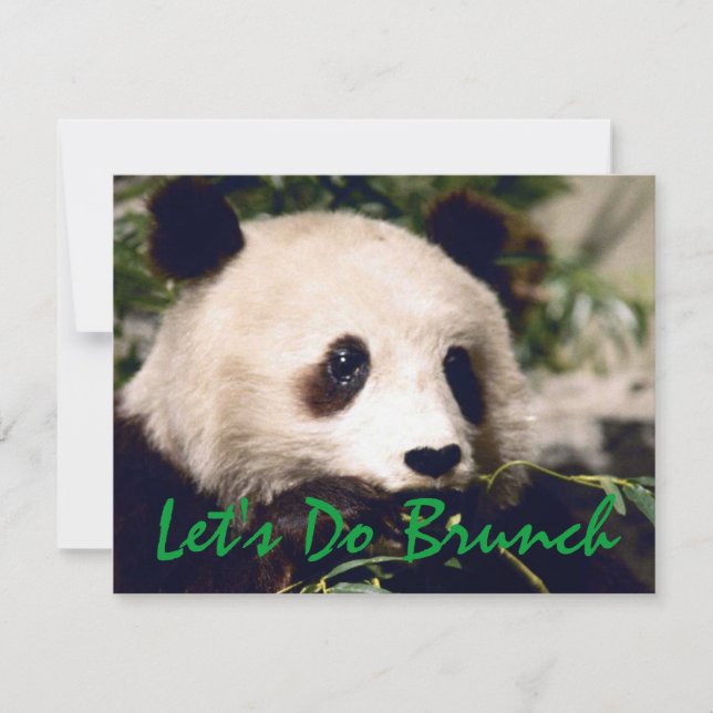 Panda Munching Grüntöne INVITATION ~ EZ2 CUSTOMIZE Einladung (Vorderseite)