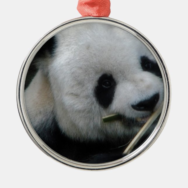 Panda Ornament Aus Metall (Vorne)
