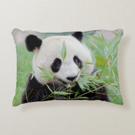 Panda-Pillow. Dekokissen