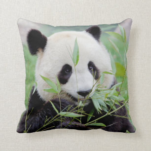 Panda-Pillow. Kissen