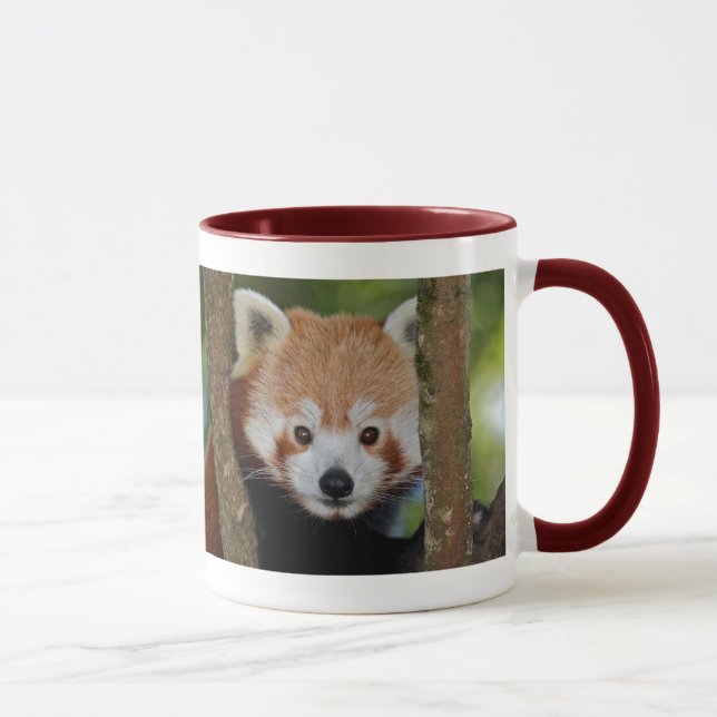 Panda Portrait Tasse (Rechts)