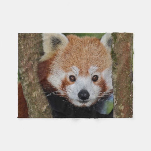 Panda-Porträt-Fleece-Decke Fleecedecke (Vorderseite (Horizontal))