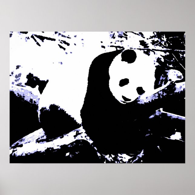 Panda Posters Prints - Panda Sleeping Poster (Vorne)