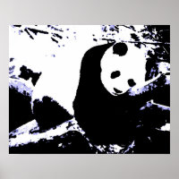 Panda Posters Prints - Panda Sleeping Poster
