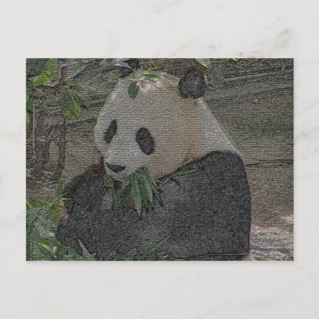 PANDA POSTKARTE (Vorderseite)