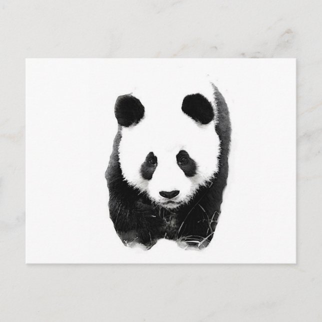 Panda Postkarte (Vorderseite)