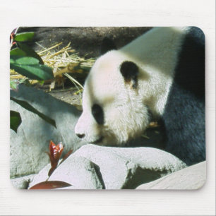 Panda-Profil Mousepad