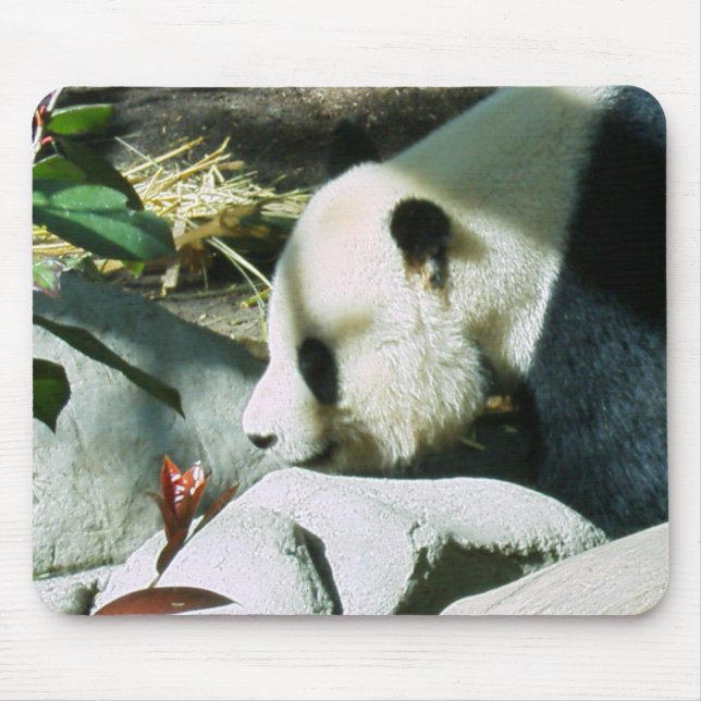 Panda-Profil Mousepad (Vorne)