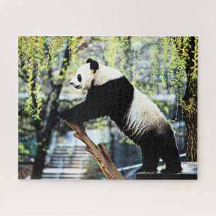 Panda Puzzle