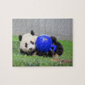 Panda Puzzle - Xiao Qi ji, der Wunderkrug