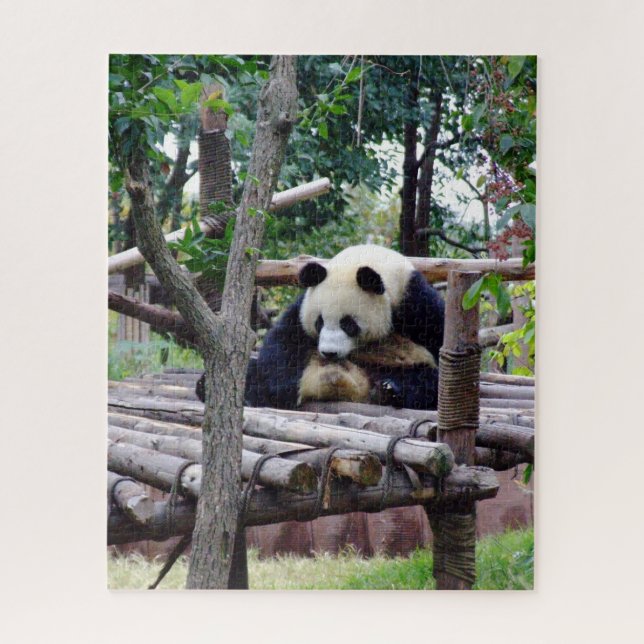 Panda-Rat - Keine Depression, wenn Sie lustig "Bär (Vertikal)