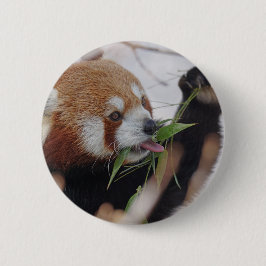 Panda-Rottierdruck niedlich Button