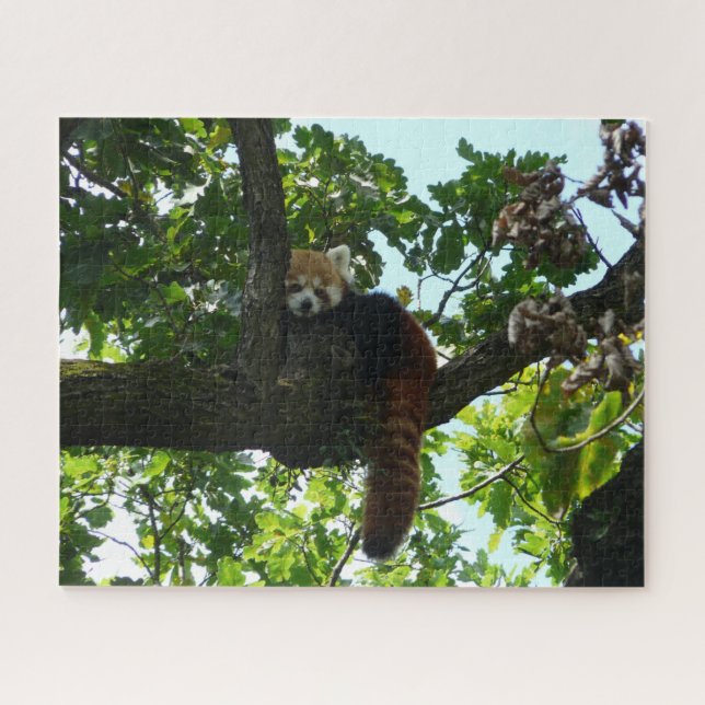Panda rouge dans un puzzle d'arbre (Horizontal)