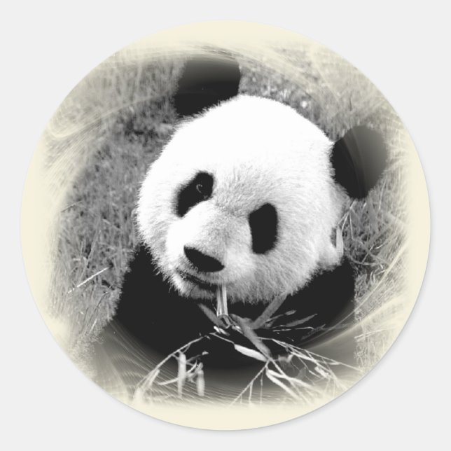 Panda Runder Aufkleber (Vorderseite)